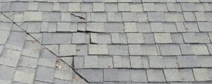 orland roofing company repair or replace