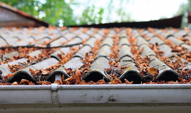 tile roof repair and maintenance